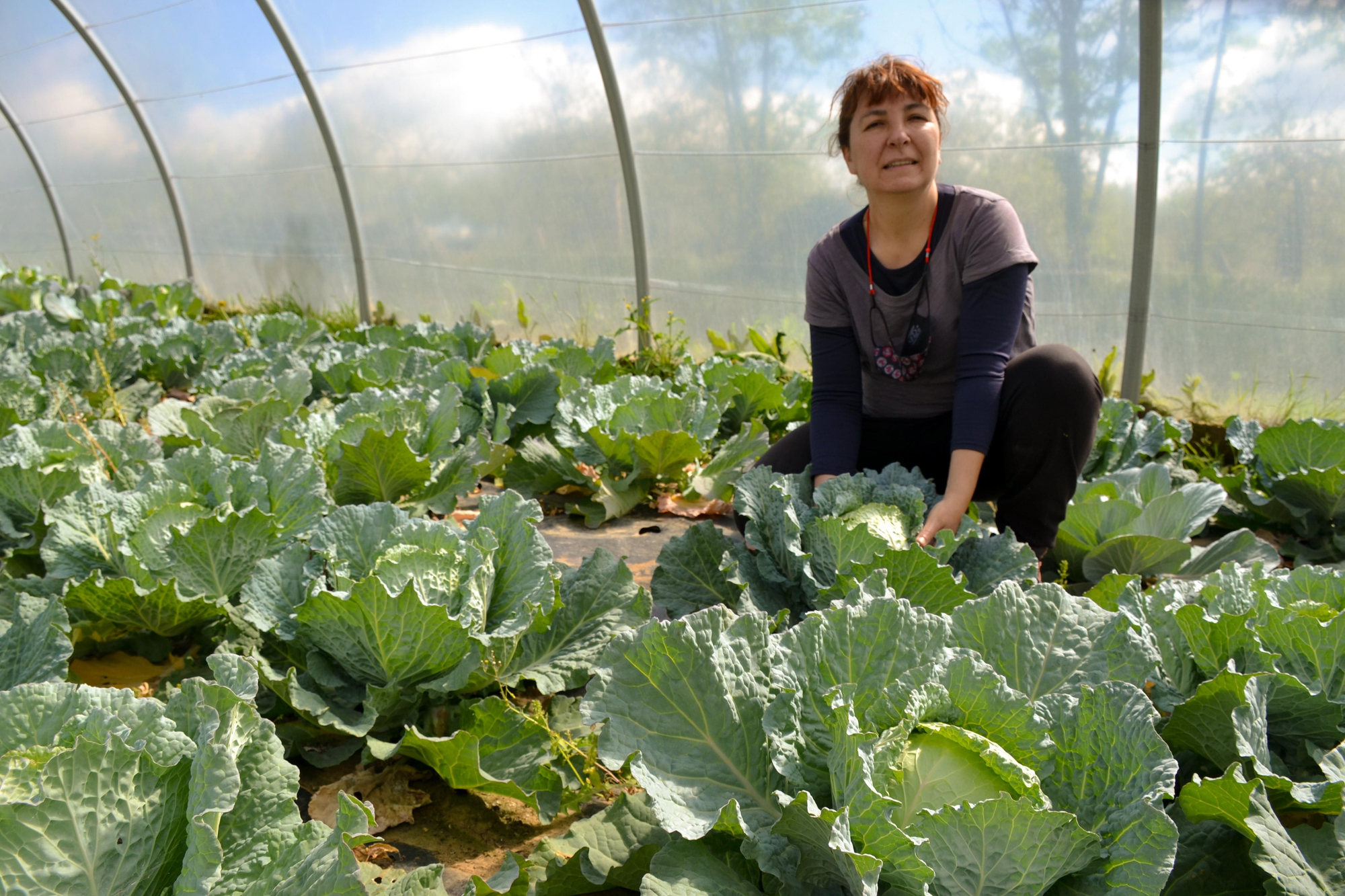 Dolores Arranz con las berzas que se salvaron porque estaban en el invernadero.