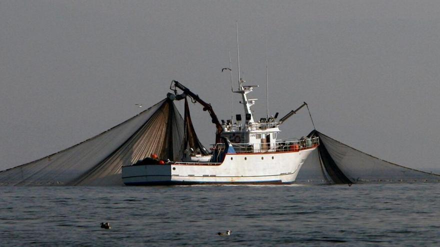 Oceana reclama a la UE que prohíba la pesca de arrastre en áreas protegidas