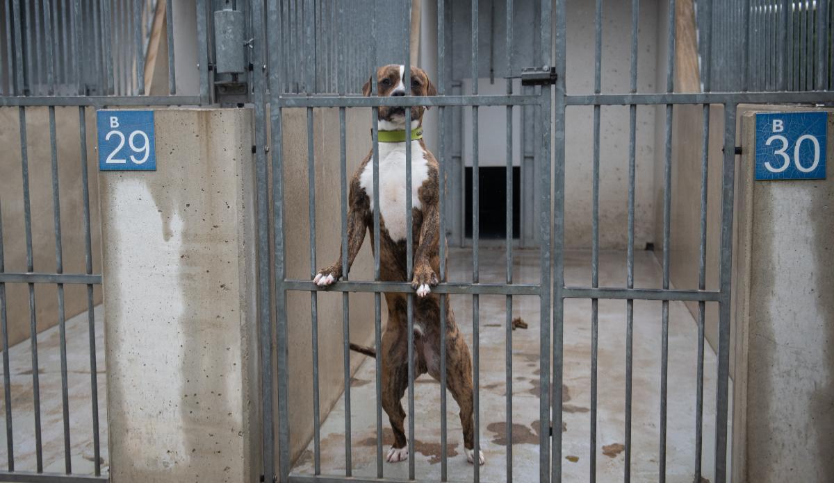 En el último año se ha producido un descenso de casi el 9% en la tasa de abandonos de la Comunidad de Madrid.