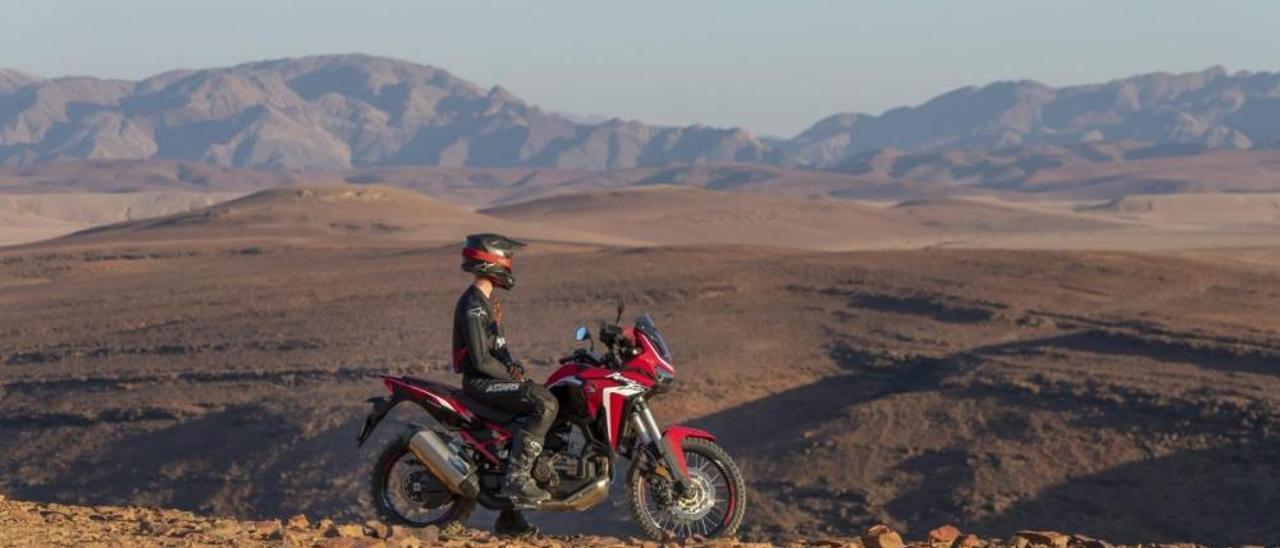 Así son las nuevas Honda Africa Twin y Adventure Sports 2020