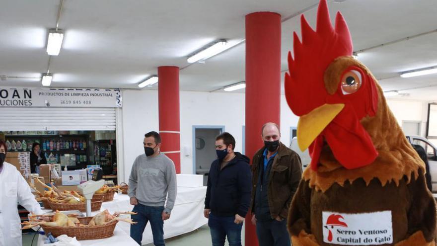 El gallo de corral, en alza por la subida de precio del pescado