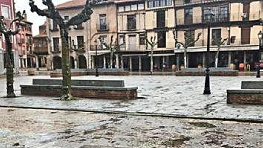 Jardinera volcada en la Plaza Mayor de Toro.