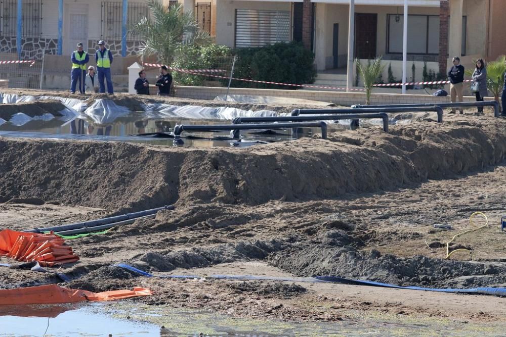 Así trabaja la brigada de limpieza en el Mar Menor