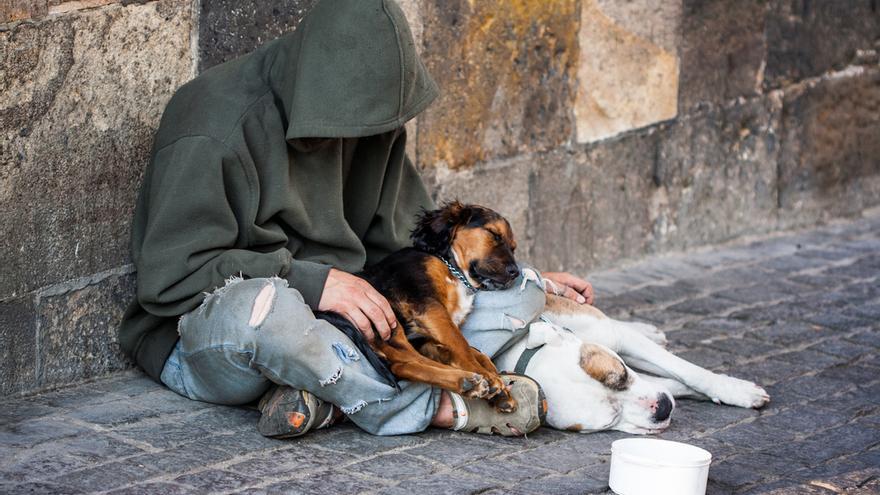 Casi 3 de cada 4 personas sin hogar ven a su perro como su principal apoyo social