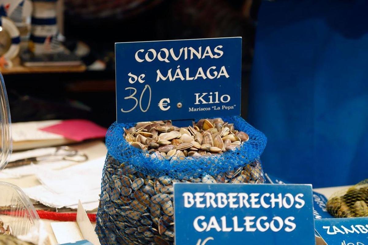 Coquinas de Málaga en el Mercado de Atarazanas.