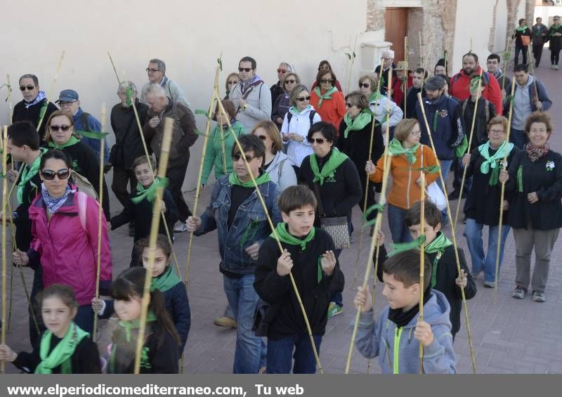 GALERÍA DE FOTOS - Romería Magdalena 2014 (3)