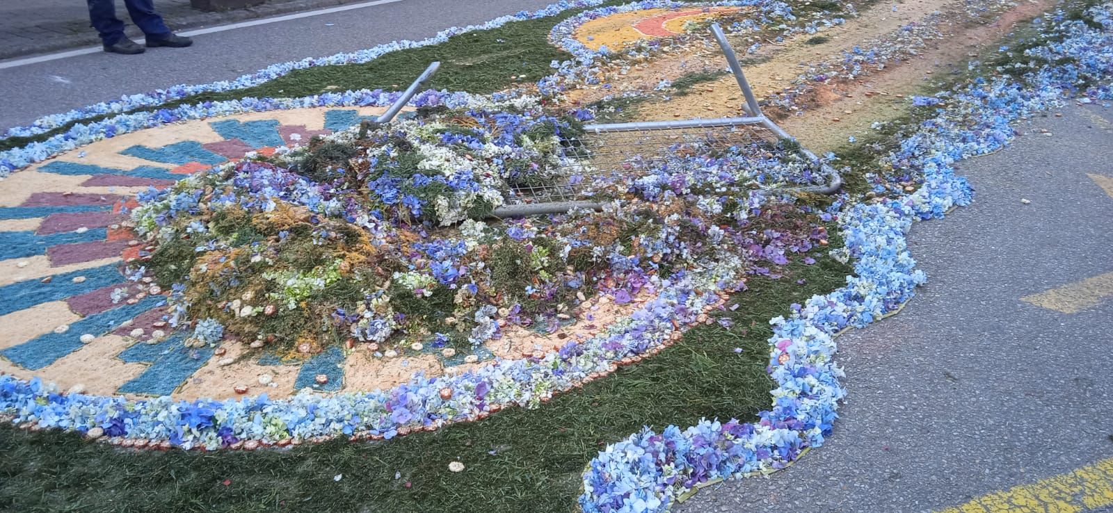 Un coductor destroza las alfombras florales del Corpus de Gondomar