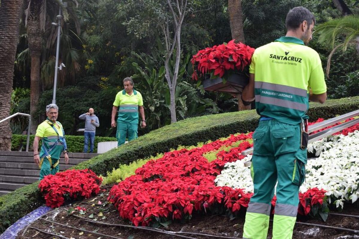Operarios del servicio municipal de mantenimiento de parques y jardines de Santa Cruz de Tenerife.