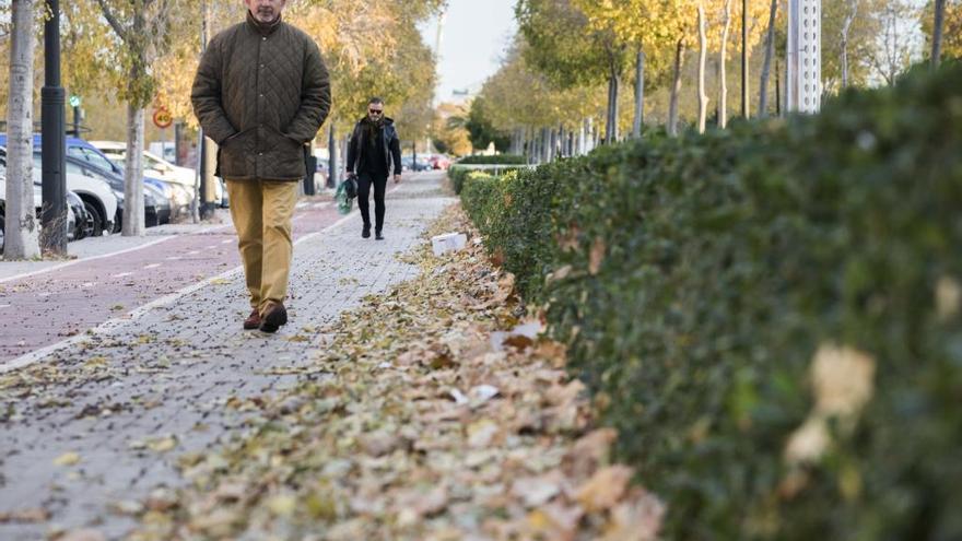 València cierra parques y jardines por la alerta amarilla de viento