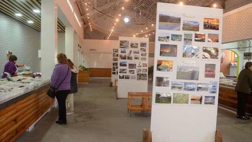 La muestra, en la plaza de abastos de Pontecesures. // Noé Parga