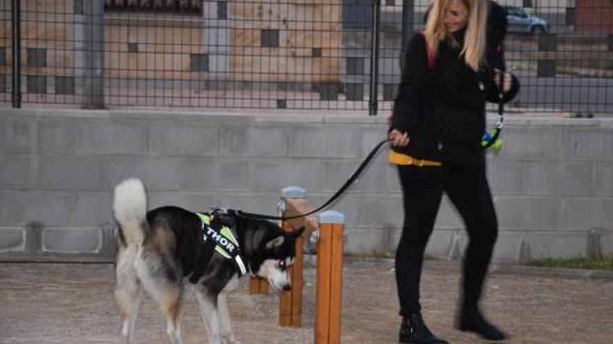 Nuevo parque canino en Carlet