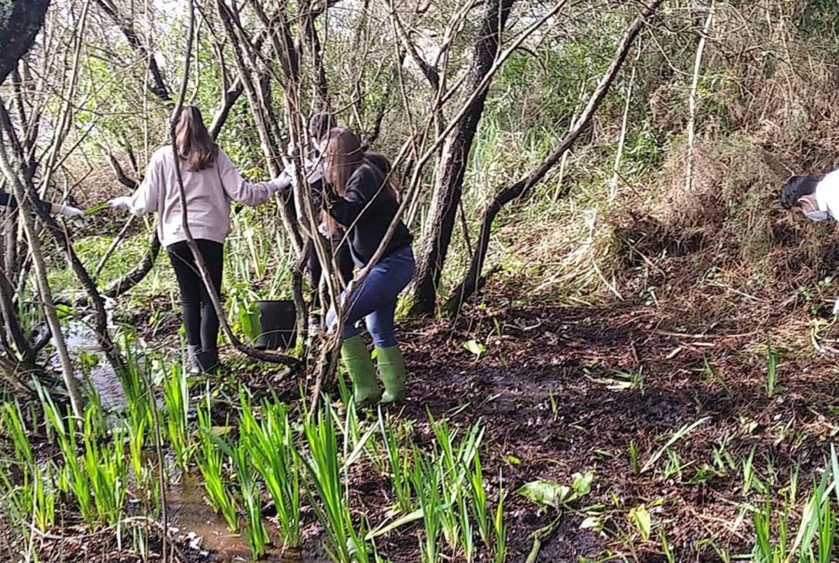 Parte alta del arroyo Bizocas, en O Grove. | FdV