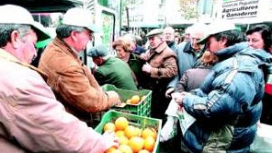 UPA protesta por el precio de las naranjas