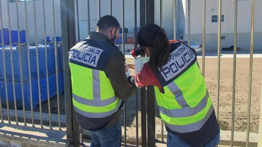 Detenido el dueño de una empresa hortofrutícola que explotaba a sus trabajadores