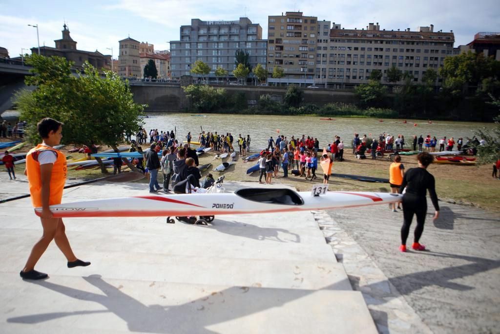 Campeonato de regatas en el Ebro