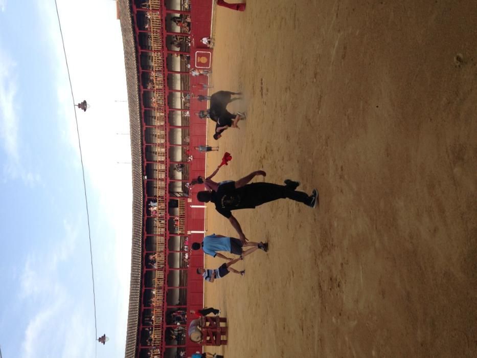 Fiestas Toro- concurso de jóvenes cortadores