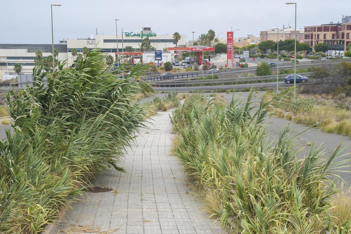 Rotondas de Almatriche