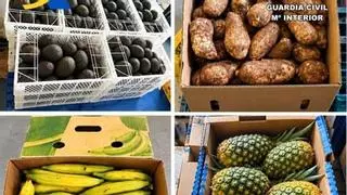 De aguacates a piñas y plátanos: intervienen dos toneladas de productos tropicales prohibidos en Canarias