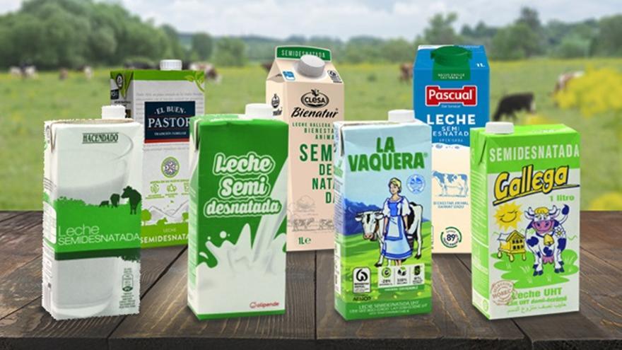 Algunas de las marcas de leche semi analizadas por la OCU, incluida Hacendado.