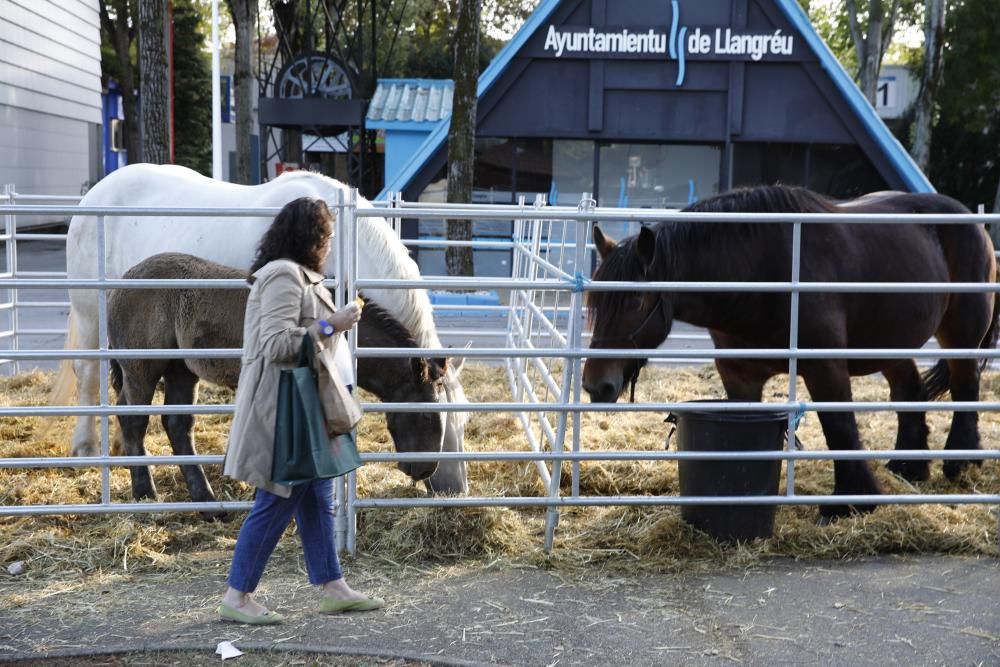 Agropec cierra su cita en Gijón