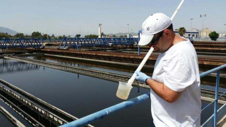 Un técnico, inspeccionando las aguas del Guadalhorce.