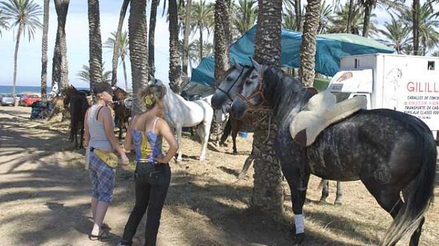 Romeros y la &quot;Blanca Paloma&quot; duermen en Ferrís