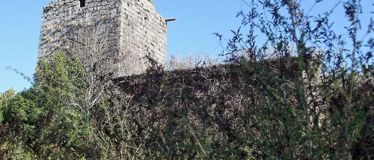 La vegetación y la maleza asedian a día de hoy esta construcción. // Bernabé/Juan Carlos Asorey