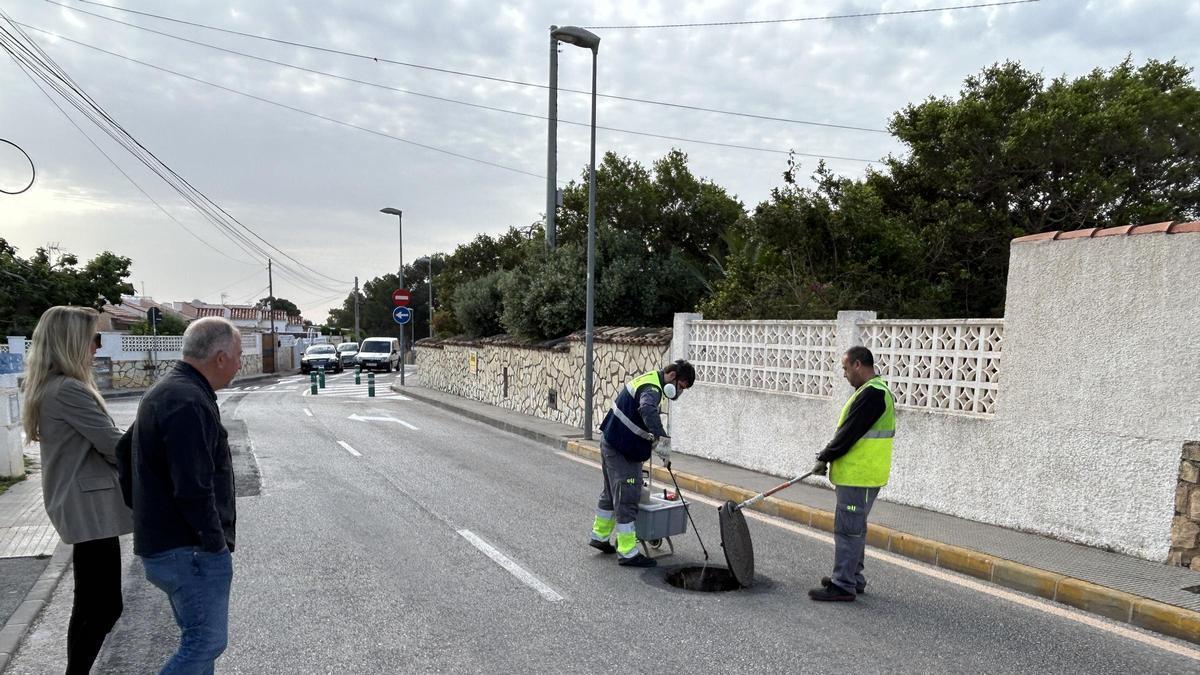 Esta semana han dado comienzo las tareas de desinsectación para prevenir la proliferación de cucarachas y otros insectos en todo el término municipal de La Nucía