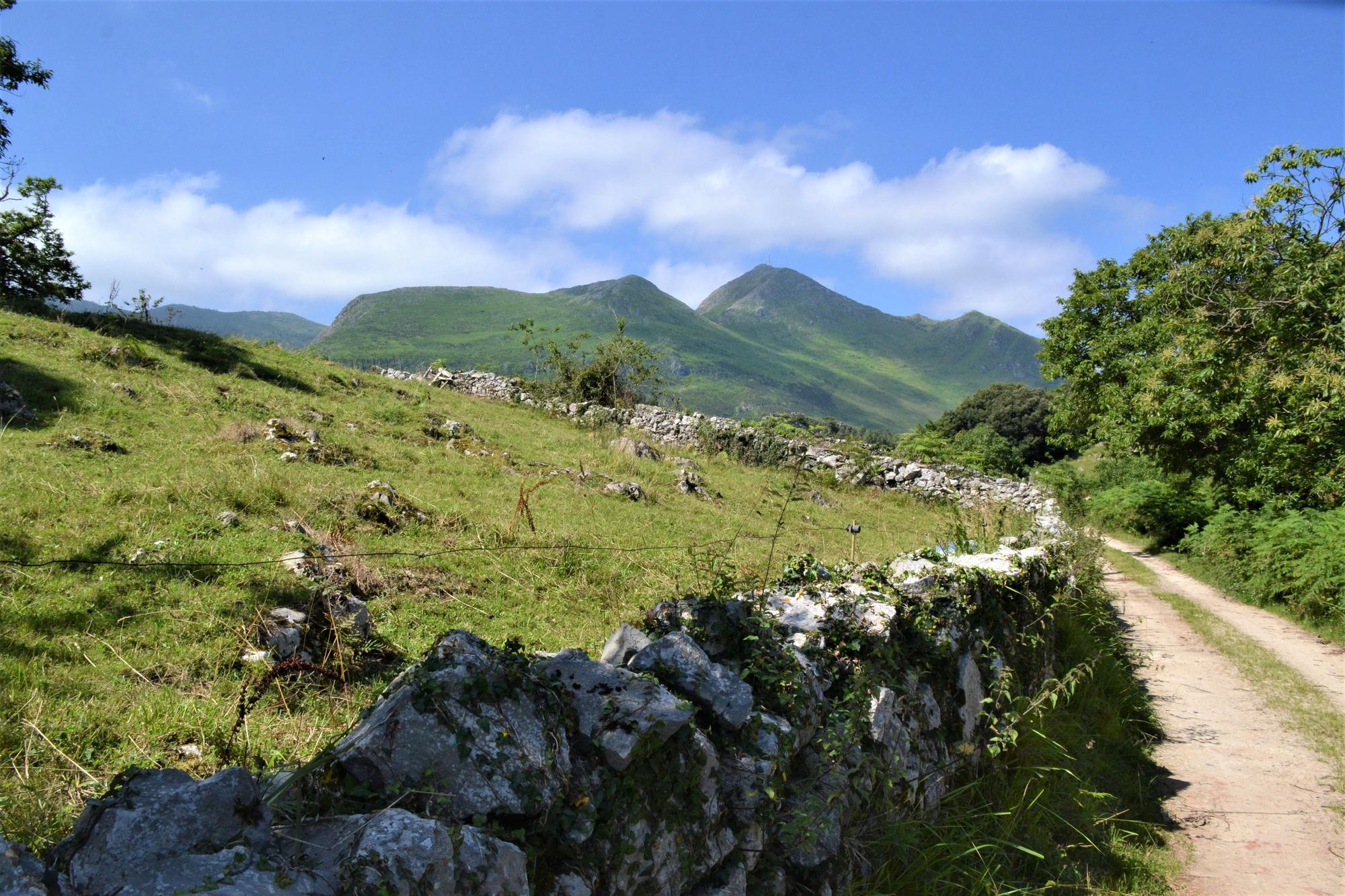 De ruta por Porrúa: siete kilómetros de  postal de la Asturias rural