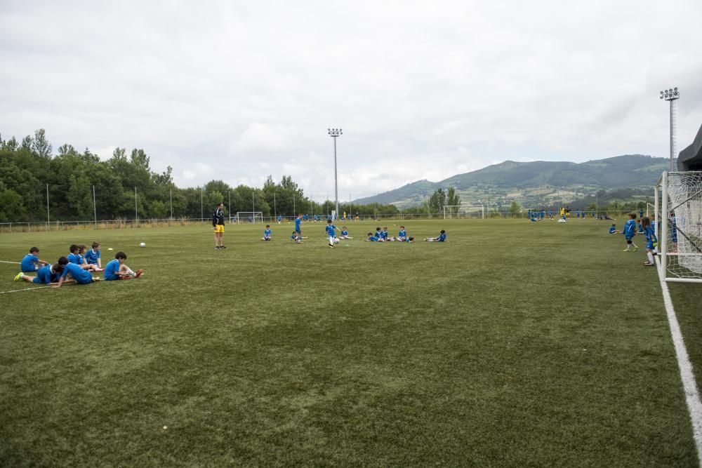 Campus del Real Oviedo