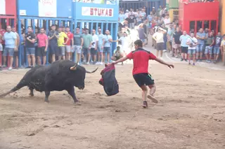Las fiestas del Cristo de l'Alcora exhibirán 15 toros cerriles de relevantes ganaderías
