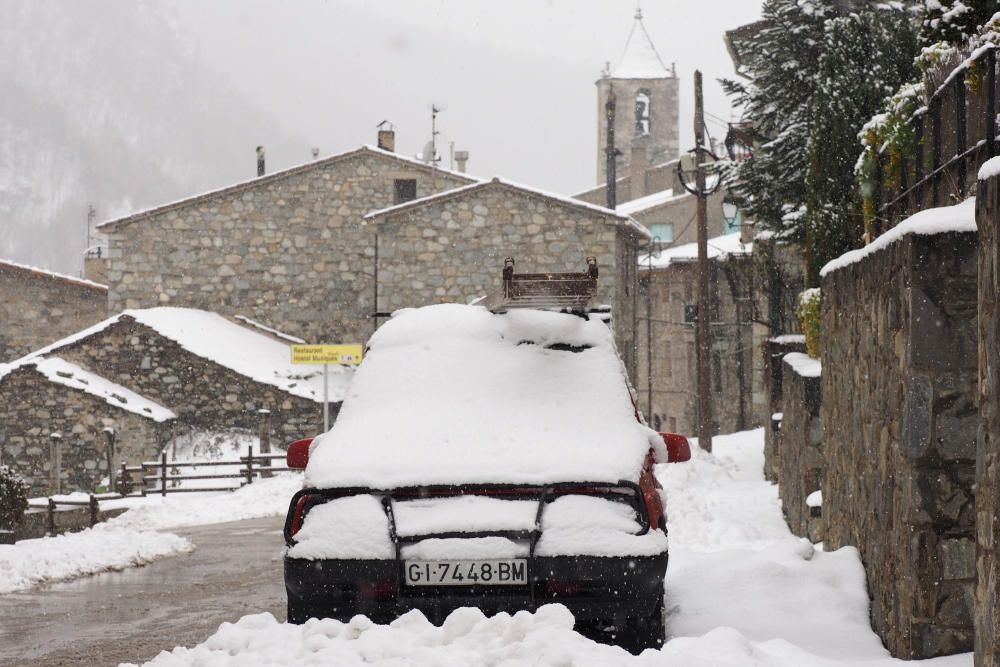 Neu a la Cerdanya i el Ripollès