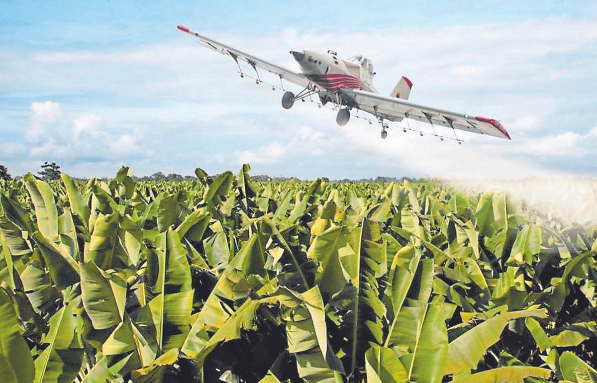 Avioneta fumigando una plantación bananera.