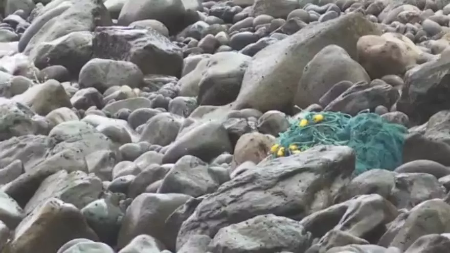 Red fantasma que ha aparecido en la costa de Gran Canaria