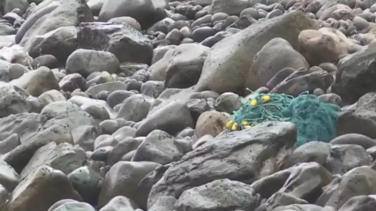 ¿De dónde procede la red fantasma que ha aparecido en las costas de Las Palmas de Gran Canaria?