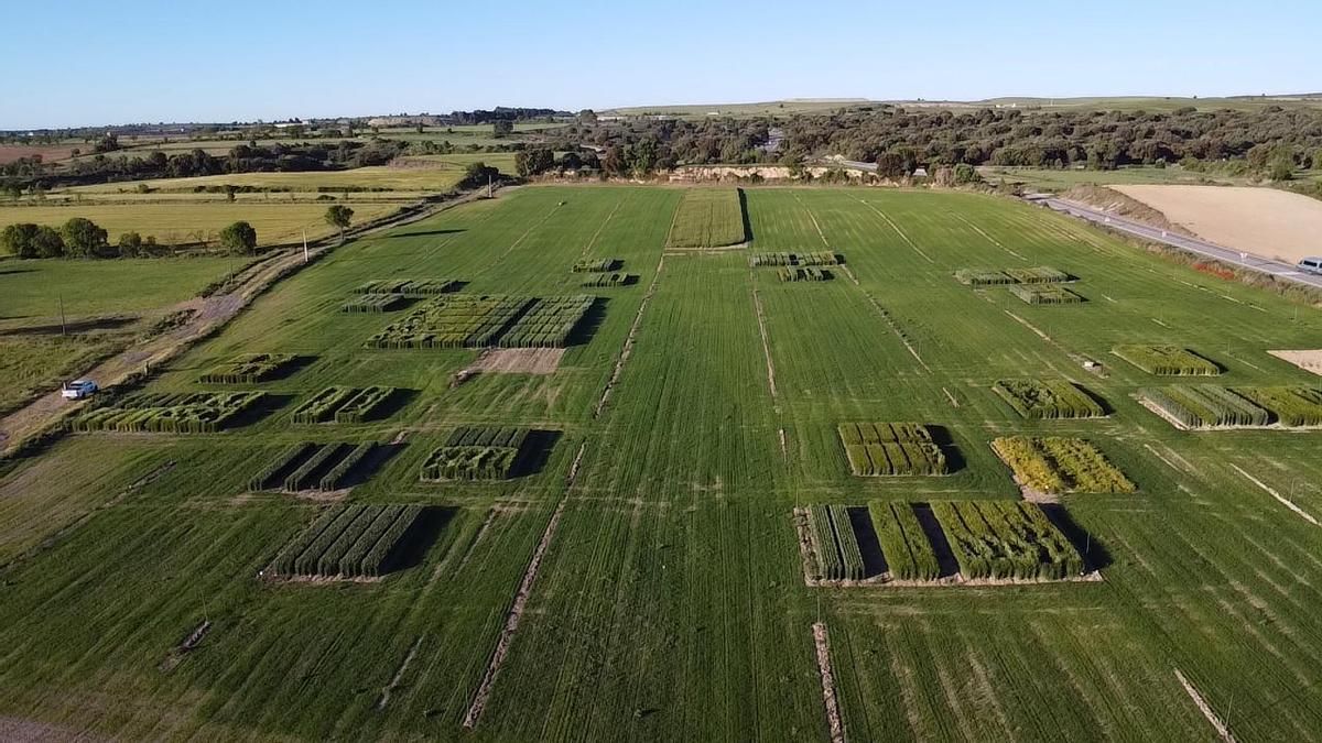 Finca en la que se celebrará Cultiva Somontano 2024.