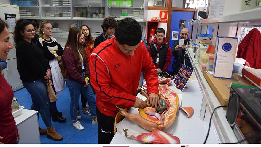 Los alumnos de Bachillerato participan en talleres de la UPCT.