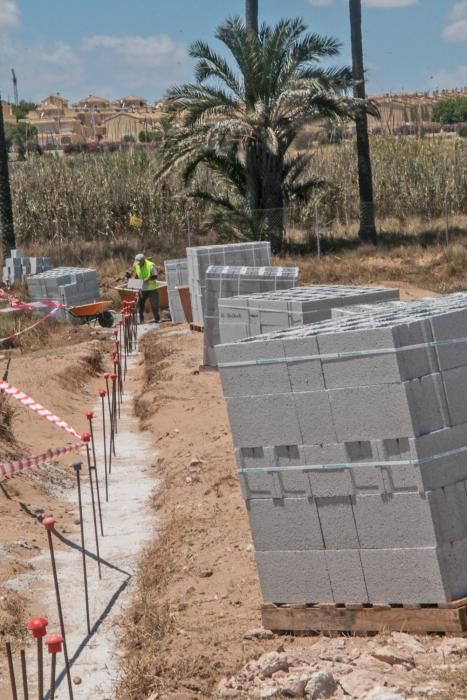 Un muro cierra el palmeral de Ferrís en Torrevieja