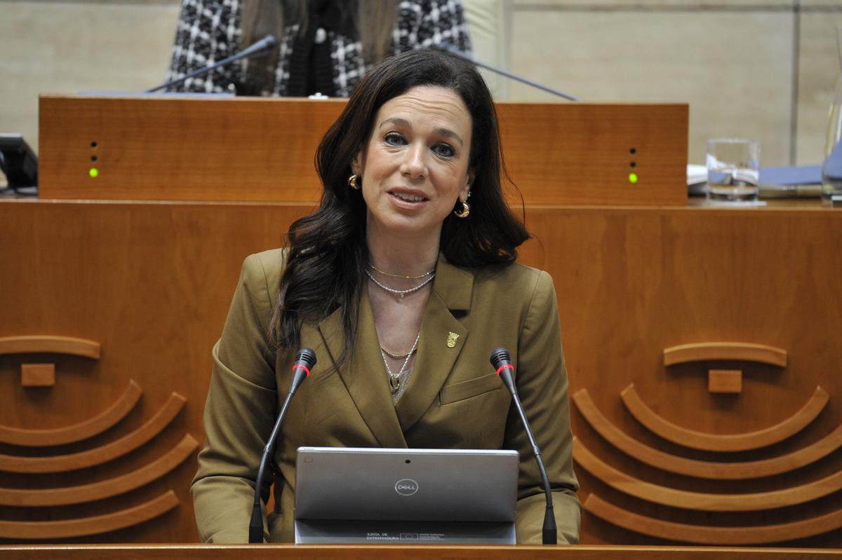 La consejera de Salud y Servicios Sociales, Sara García Espada.