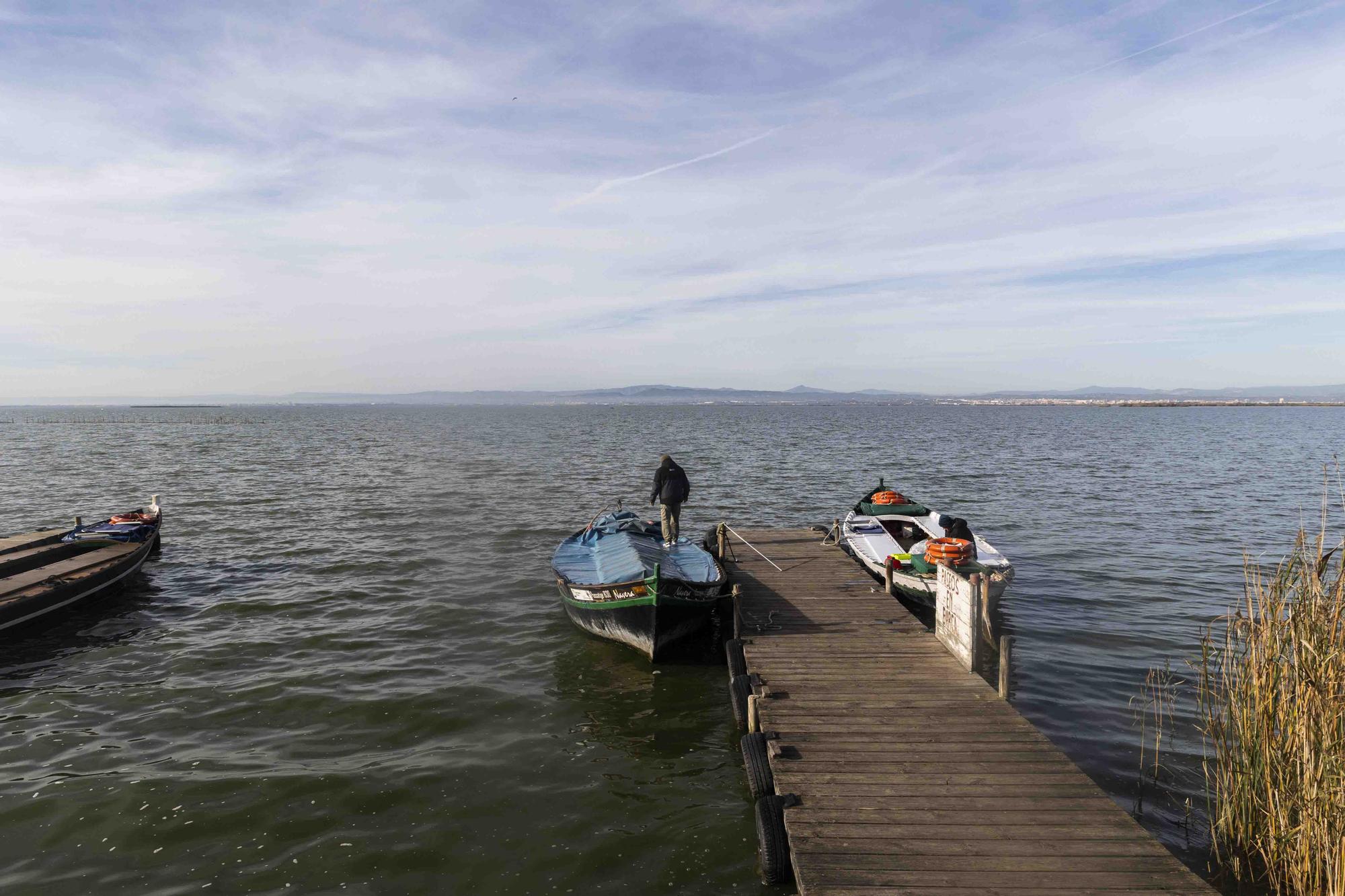 L'Albufera y su biodiversidad disfrutan de una caudal histórico