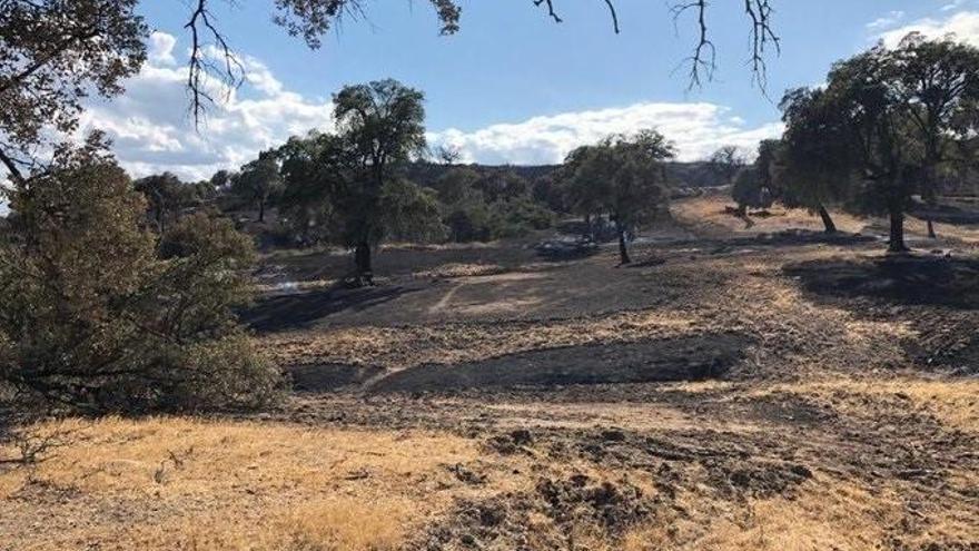 Prosiguen las tareas para la extinción de incendio en Garganta la Olla