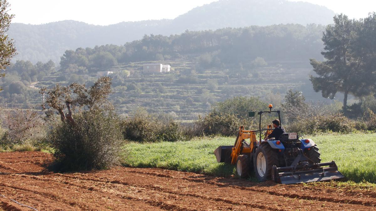 La agricultura requiere cada vez más profesionalización.