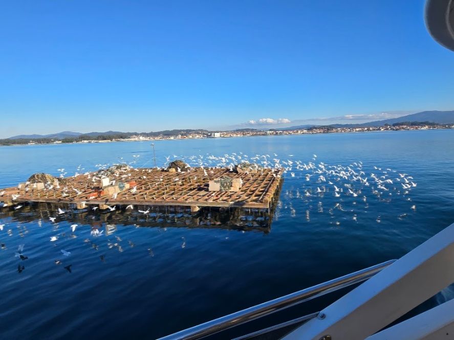 Así se despidió el año en el catamarán restaurante Fly Delfín, de Cruceros do Ulla Turimares.