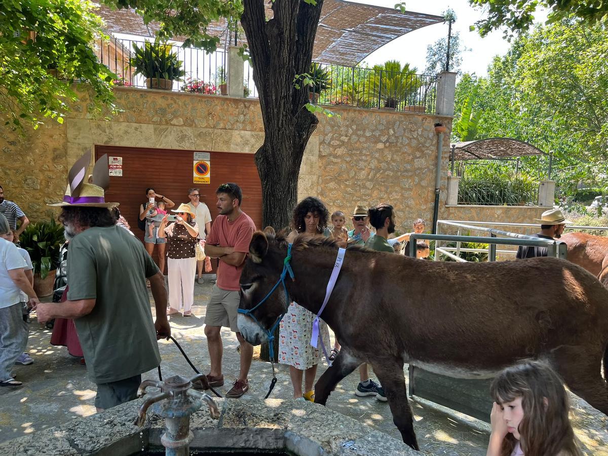 Así fue la fiesta de bienvenida en Esporles a las 'someres'