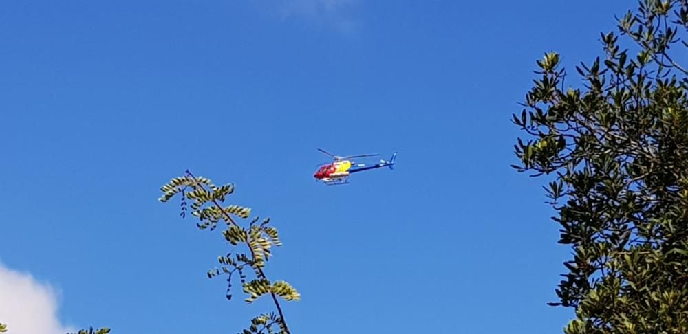 Incendio de cuatro palmeras en Bandama