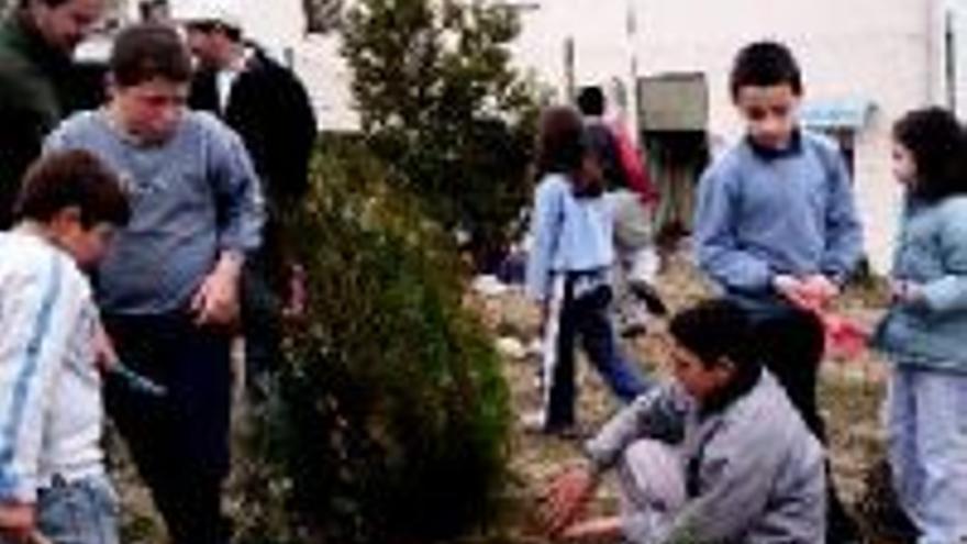 Campaña de reforestación en la escuela de San Martín de TrevejoLa escuela de San Martín[antetit.110]INICIATIVA DEL COLEGIO PUBLICO SANTA ROSA DE LIMA