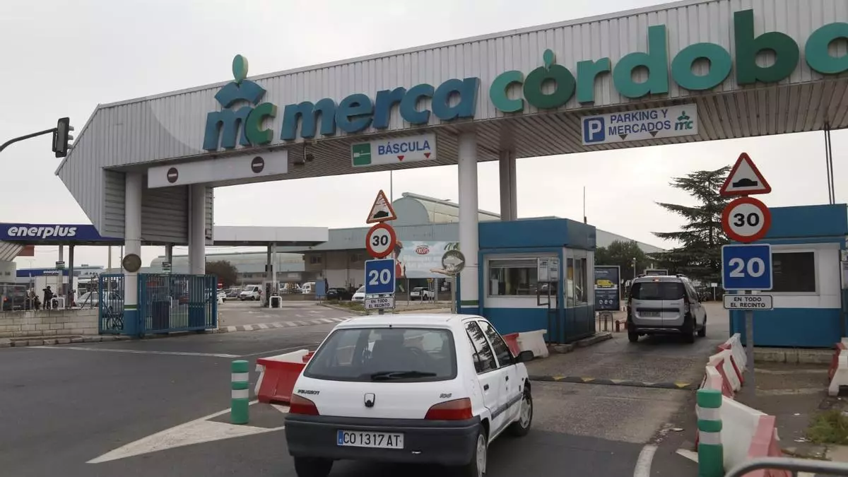 Las primeras horas de la huelga del transporte no afectan a la distribución en Córdoba
