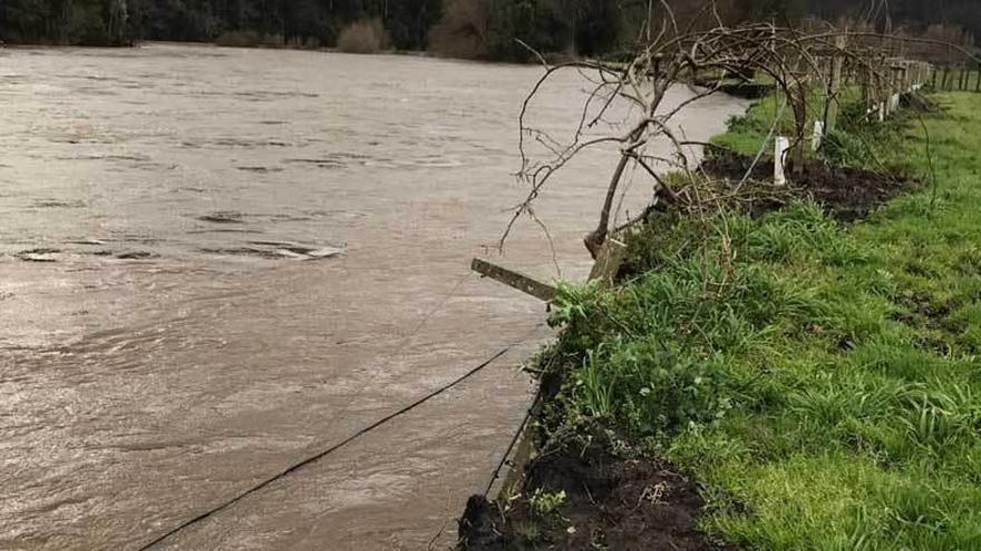 El río se come la ribera.