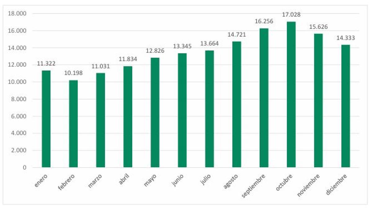 Distribución de las llamadas atendidas por la Línea 024 en 2025.