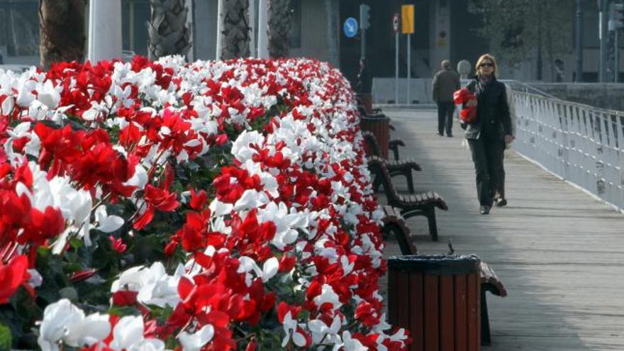 Flores sí, pero sólo en la cabecera